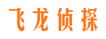 南陵找人公司